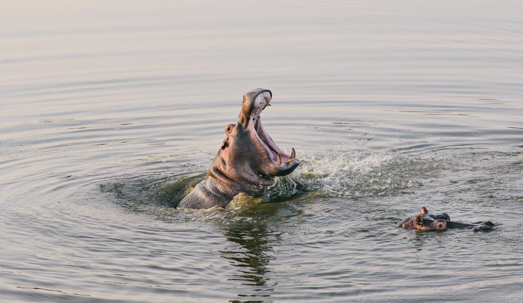 Monate Game Lodge Modimolle Kültér fotó